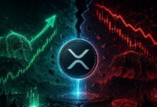 استرداد XRP حقيقي، لكن شهية المخاطرة لا تزال مكسورة – محلل