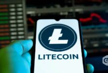 لايتكوين محصور في نطاق ضيق بين 50 و59 دولارًا مع تراجع التقلبات: هل يقترب الانفجار السعري؟