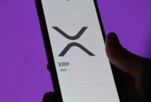 هل اقترب ضغط الشراء القصير الهائل لـ XRP؟ هذا المحلل يعتقد ذلك