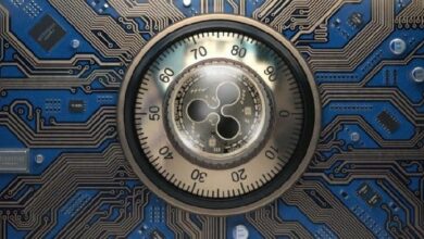 ريبل تطلق خارطة طريق للجاهزية الكمومية لـ XRP Ledger تستهدف الانتقال الكامل بحلول 2028