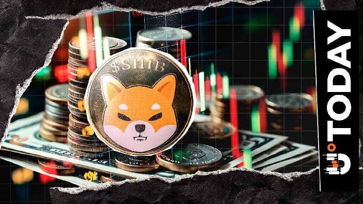 انقسام في مؤشر SHIB؟ ارتفاع المراكز المفتوحة 5٪ رغم انخفاض سعر شيبا إينو