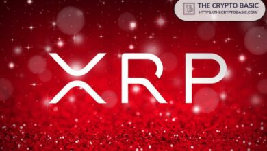 محافظ XRP الحاوية على 1000 إلى 100000 عملة تصل إلى 1.1 مليون، مسجلة أعلى مستوى في التاريخ