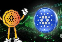 سعر كاردانو يختبر دعم 0.24 دولار رغم إطلاق منتصف الليل