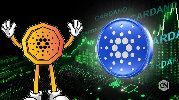 سعر كاردانو يختبر دعم 0.24 دولار رغم إطلاق منتصف الليل