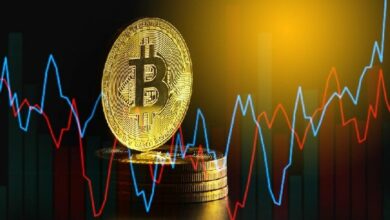 13 عامًا من البيانات تؤكد: سعر البيتكوين لم يصل للقاع بعد.. محلل يفسر اتجاه السوق