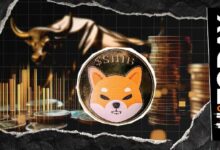 شيبا إينو تبدأ الأسبوع بنشاط صعودي في البورصات رغم انخفاض 89 مليار SHIB