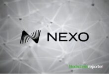 تضاعف تدفقات العملات المستقرة على نيكسو مع بحث المستثمرين عن عائد سلبي في سوق متقلب