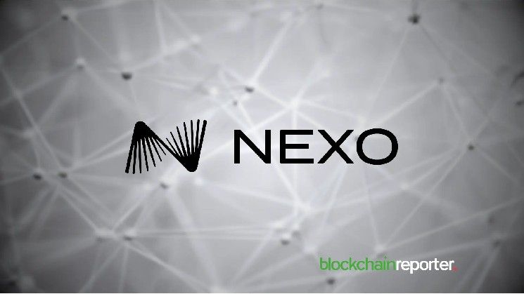 تضاعف تدفقات العملات المستقرة على نيكسو مع بحث المستثمرين عن عائد سلبي في سوق متقلب