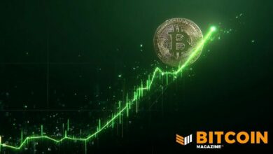 سعر البيتكوين يقفز 6% قرب 75,000 دولار مع تسارع عمليات تصفية المراكز القصيرة