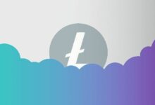 ليتكوين يبتلع انتقاداته حول توقف سولانا