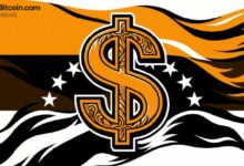 خبير اقتصادي يقترح إصدار عملة مستقرة وطنية مدعومة بالدولار لإلغاء قيود العملة في فنزويلا