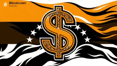 خبير اقتصادي يقترح إصدار عملة مستقرة وطنية مدعومة بالدولار لإلغاء قيود العملة في فنزويلا