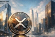 تعديل إيفرنورث للبيان المقدم لهيئة الأوراق المالية يعمق دور XRP في هيكلية سوق العملات الرقمية