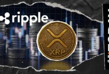 XRP على أعتاب العصر الكمومي: رئيس الأبحاث في Ripple يفسر موعد هجرة Google لعام 2029