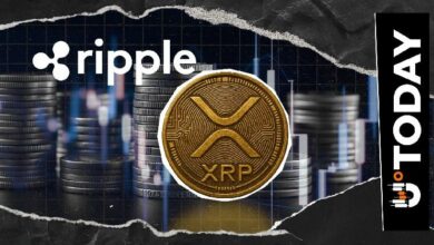 XRP على أعتاب العصر الكمومي: رئيس الأبحاث في Ripple يفسر موعد هجرة Google لعام 2029