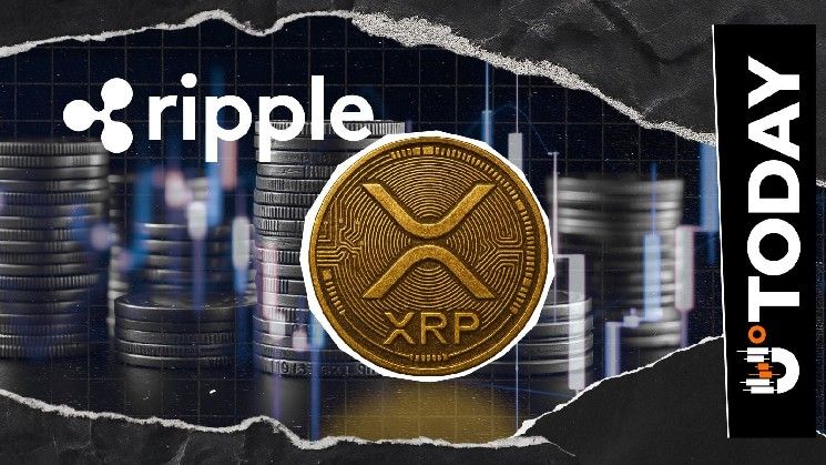 XRP على أعتاب العصر الكمومي: رئيس الأبحاث في Ripple يفسر موعد هجرة Google لعام 2029