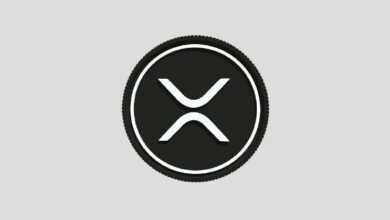 خبير: هذا الرسم البياني يوضح الصورة الكلية الأوضح لمستقبل XRP