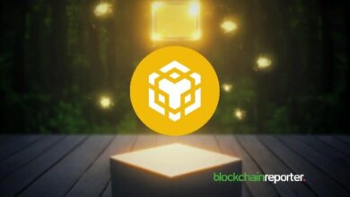 **DGrid AI تُضيف المدفوعات الصغيرة x402 عبر سلسلة BNB للوصول إلى الذكاء الاصطناعي**