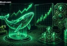 جلاسنود: الحيتان في هايبرليكويد تبنى مراكز دائمة طويلة لمدة شهرين