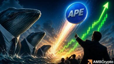 أرخص «ApeCoin» بنسبة 90% بعد جني حوت لأرباح 14 ضعفًا، مما يثير مخاوف التداول من الداخل