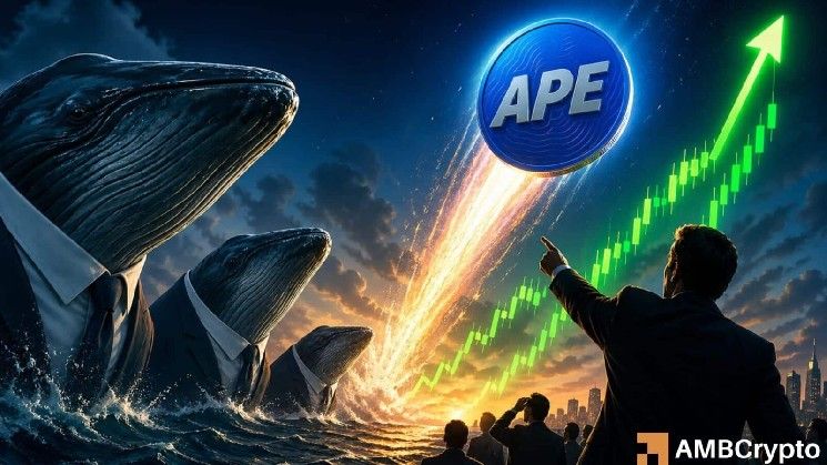 أرخص «ApeCoin» بنسبة 90% بعد جني حوت لأرباح 14 ضعفًا، مما يثير مخاوف التداول من الداخل