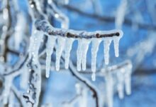 إجماد 71 مليون دولار على Arbitrum يثير تساؤلات في عالم الكريبتو: ما معنى اللامركزية حقًا؟