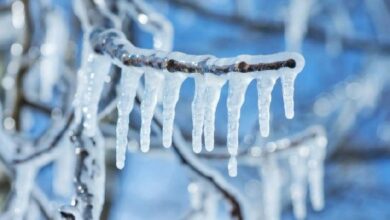 إجماد 71 مليون دولار على Arbitrum يثير تساؤلات في عالم الكريبتو: ما معنى اللامركزية حقًا؟