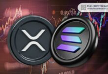 تنفيذي كبير في سولانا يشتري 10,000 دولار من عملة XRP: التفاصيل الكاملة