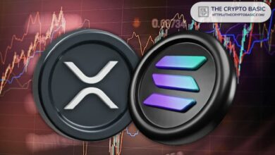 تنفيذي كبير في سولانا يشتري 10,000 دولار من عملة XRP: التفاصيل الكاملة