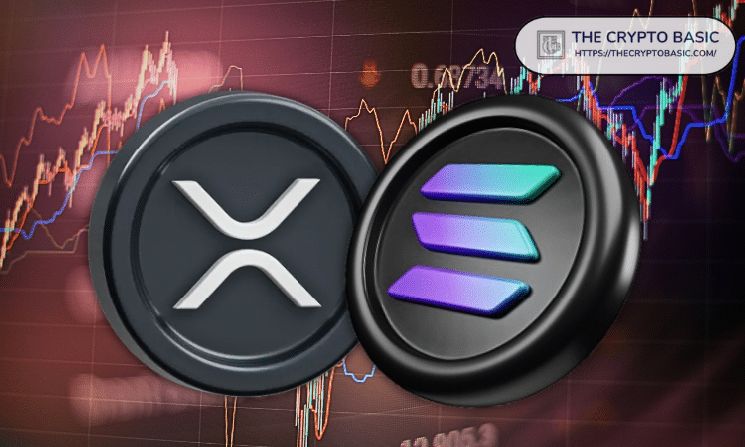 تنفيذي كبير في سولانا يشتري 10,000 دولار من عملة XRP: التفاصيل الكاملة