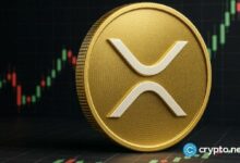 جولدمان ساكس أكبر حامل مؤسسي لصندوق XRP المتداول مع وصول إجمالي الأصول إلى 1.53 مليار دولار