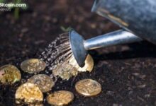 بروتوكول سولف ويوتكسو يطلقان بنية تحتية لعائدات بيتكوين الأصلية