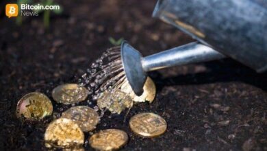 بروتوكول سولف ويوتكسو يطلقان بنية تحتية لعائدات بيتكوين الأصلية