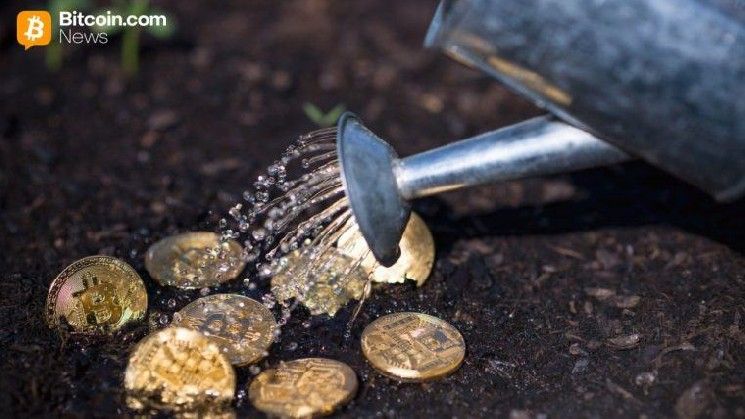 بروتوكول سولف ويوتكسو يطلقان بنية تحتية لعائدات بيتكوين الأصلية