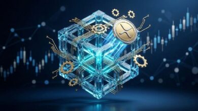 ديفيد شوارتز يكشف عن ترقيات جديدة للمحور مع تسارع دفع الابتكار في XRP