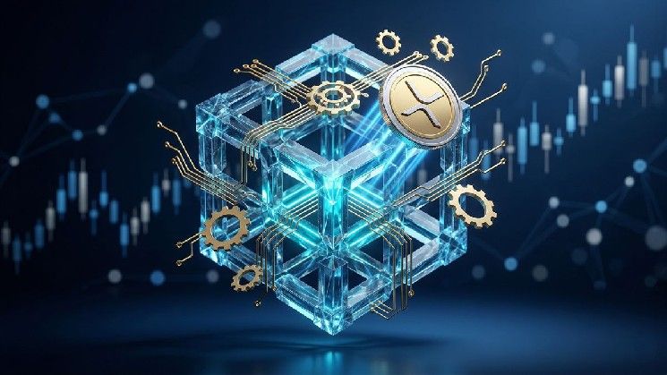 ديفيد شوارتز يكشف عن ترقيات جديدة للمحور مع تسارع دفع الابتكار في XRP