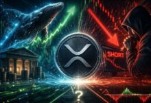 الأموال الحقيقية تشتري XRP بينما المضاربون بالرافعة المالية يبيعونه على المكشوف. ماذا يحدث عادة بعد ذلك؟