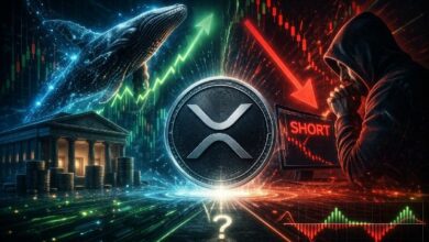 الأموال الحقيقية تشتري XRP بينما المضاربون بالرافعة المالية يبيعونه على المكشوف. ماذا يحدث عادة بعد ذلك؟
