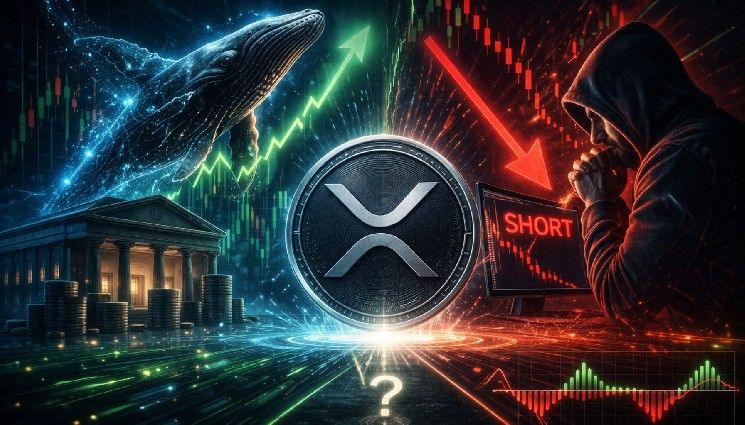 الأموال الحقيقية تشتري XRP بينما المضاربون بالرافعة المالية يبيعونه على المكشوف. ماذا يحدث عادة بعد ذلك؟