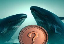 حوت انتظر بصبر ووجد القمة! حوّل 575 دولارًا إلى 1.7 مليون دولار! إليك العملة البديلة التي اشتراها!