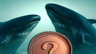 حوت انتظر بصبر ووجد القمة! حوّل 575 دولارًا إلى 1.7 مليون دولار! إليك العملة البديلة التي اشتراها!