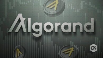 سعر ألجوراند يقفز بعد إشادة جوجل بالذكاء الاصطناعي الكمي ويقود تناوب العملات البديلة