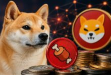 نشاط Shibarium لـ Shiba Inu يرتفع مع تجاوز قاعدة حاملي BONE 93 ألف مستخدم