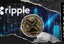 مهندس ريبل يوضح وتيرة تحديثات XRPL مع تركيز جديد على إصلاح الأخطاء وتعزيز الموثوقية