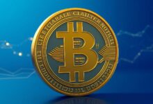 تحرك مفاجئ: نقل حوت بيتكوين 216 مليون دولار إلى OKX يثير تحليلات السوق