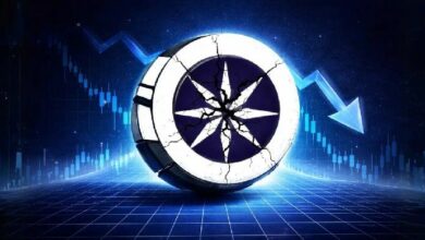 شبكة آيس المفتوحة تقفز 50% بعد استهدافها سقف سوقي بقيمة مليار دولار: "نبقى هنا ونبني"