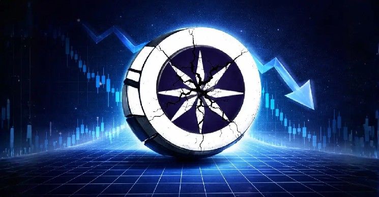 شبكة آيس المفتوحة تقفز 50% بعد استهدافها سقف سوقي بقيمة مليار دولار: "نبقى هنا ونبني"