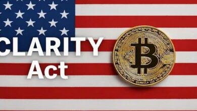 تحذير لوميس حول "CLARITY": هذا التوافق السياسي نادر وقد لا يدوم