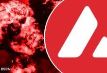 أفالانش تشهد نموًا هائلاً في نشاط السلسلة