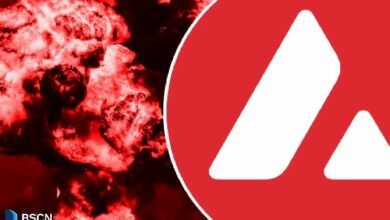 أفالانش تشهد نموًا هائلاً في نشاط السلسلة